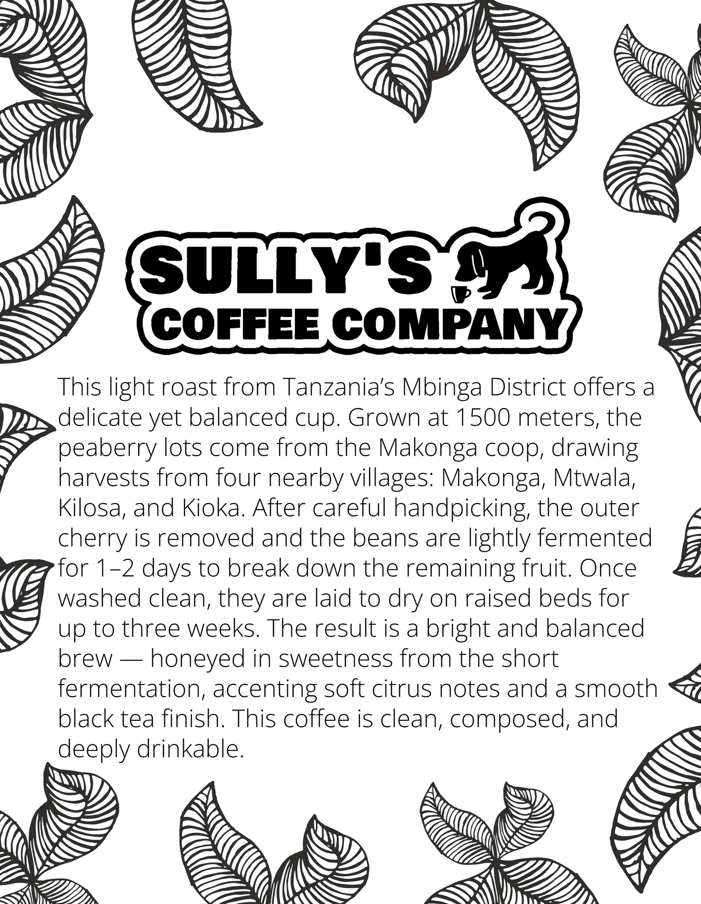 Tanzanian Peaberry
