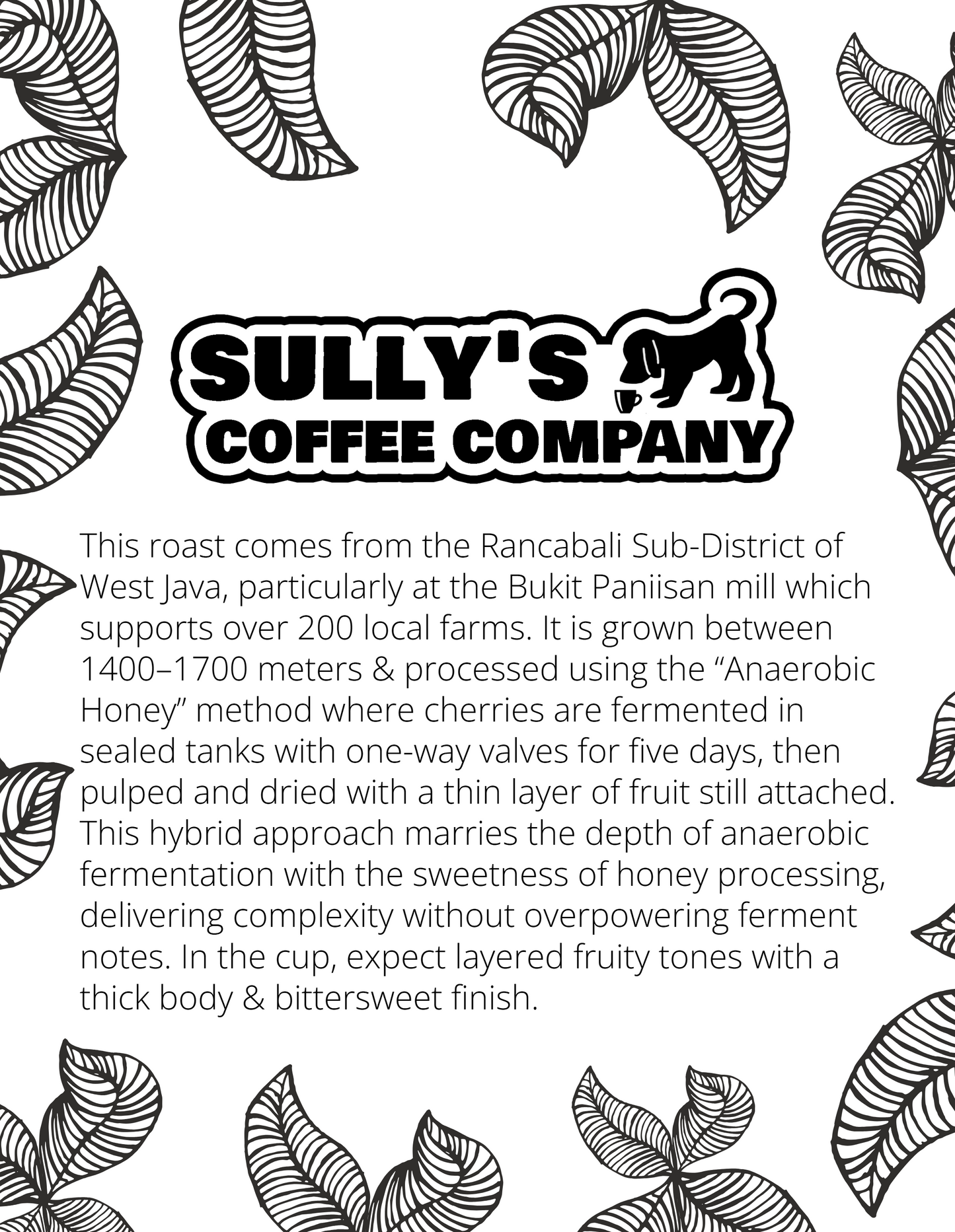 Java Sunda Anaerobic